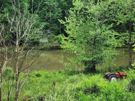 1591 Fishermans Cove RD