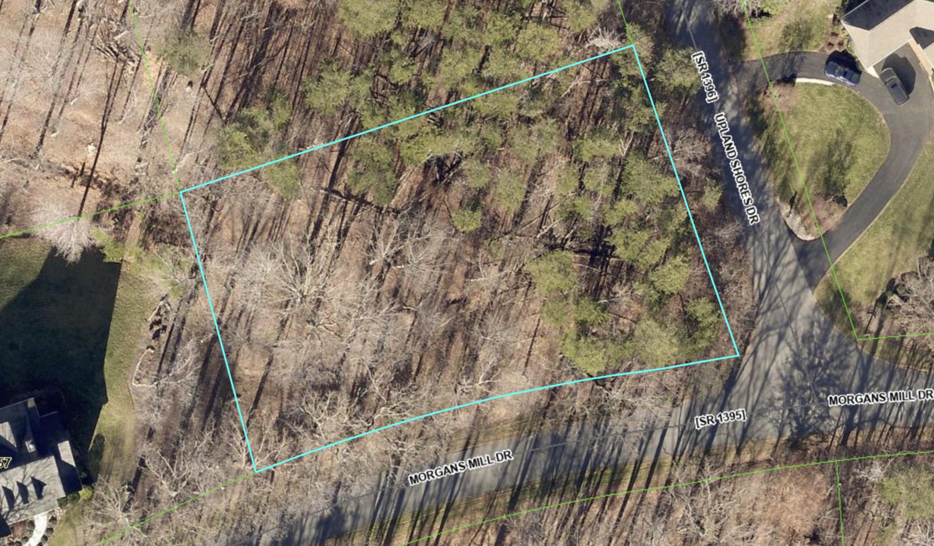Image 3: GIS Map 1 Lot 297 Morgans Mill Dr