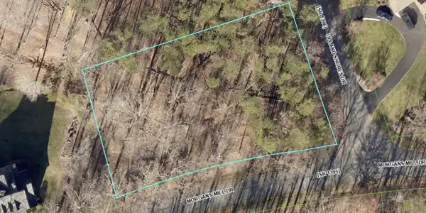 Image 3: GIS Map 1 Lot 297 Morgans Mill Dr