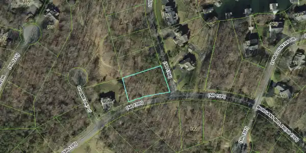 Image 4: GIS Map 2 Lot 297 Morgans Mill Dr