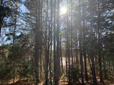 Lot 117 Island Point DR
