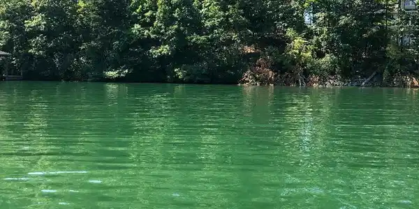 Image 4: lot 23 sancturary bay