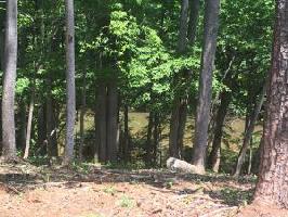 Lot 17 Watchtower DR