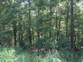0 Pine Ridge DR Lot #73
