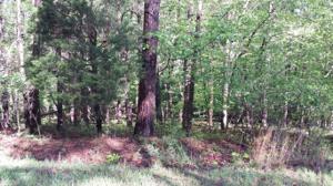 Lot #5 Dogwood Acre RD