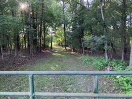 Lot #A-1 Thomason LN