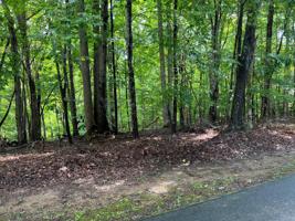 Lot 19 Leeward DR