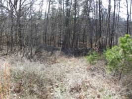 Lot 4 Inlet DR