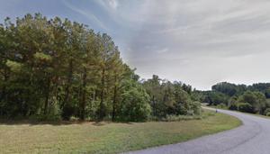 0 Lakewatch CIR Lot #51&52