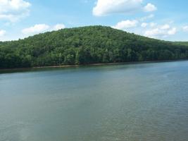 Lot 117 GREENBERRY DR