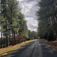 Lot 24 Sunset Pointe DR