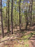Lot 54 Old Barn RD