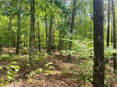 Lot 97 Greenberry DR