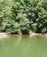 Lot 1 Beech DR