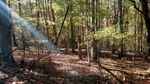 Lot 82 Summerset DR