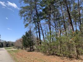 Lot 108 Island Point DR