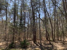 Lot 43 Lake Ridge DR