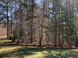 Lot 13 Jasper DR