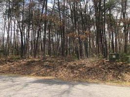 Lot 35 Red Fin LN
