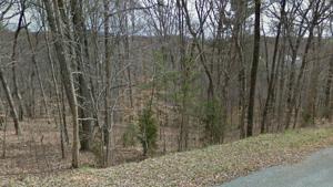 Lot 52 Shad Run DR