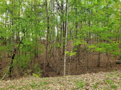 Lot 9 Crawford DR