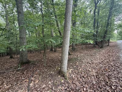 Lot 17 Saunders Point RD