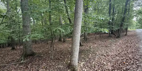Lot 17 Saunders Point RD