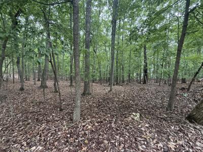 Lot 18 Saunders Point RD