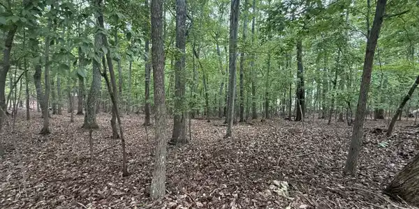 Lot 18 Saunders Point RD