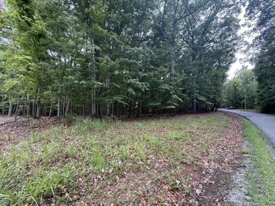 Lot 19 Saunders Point RD