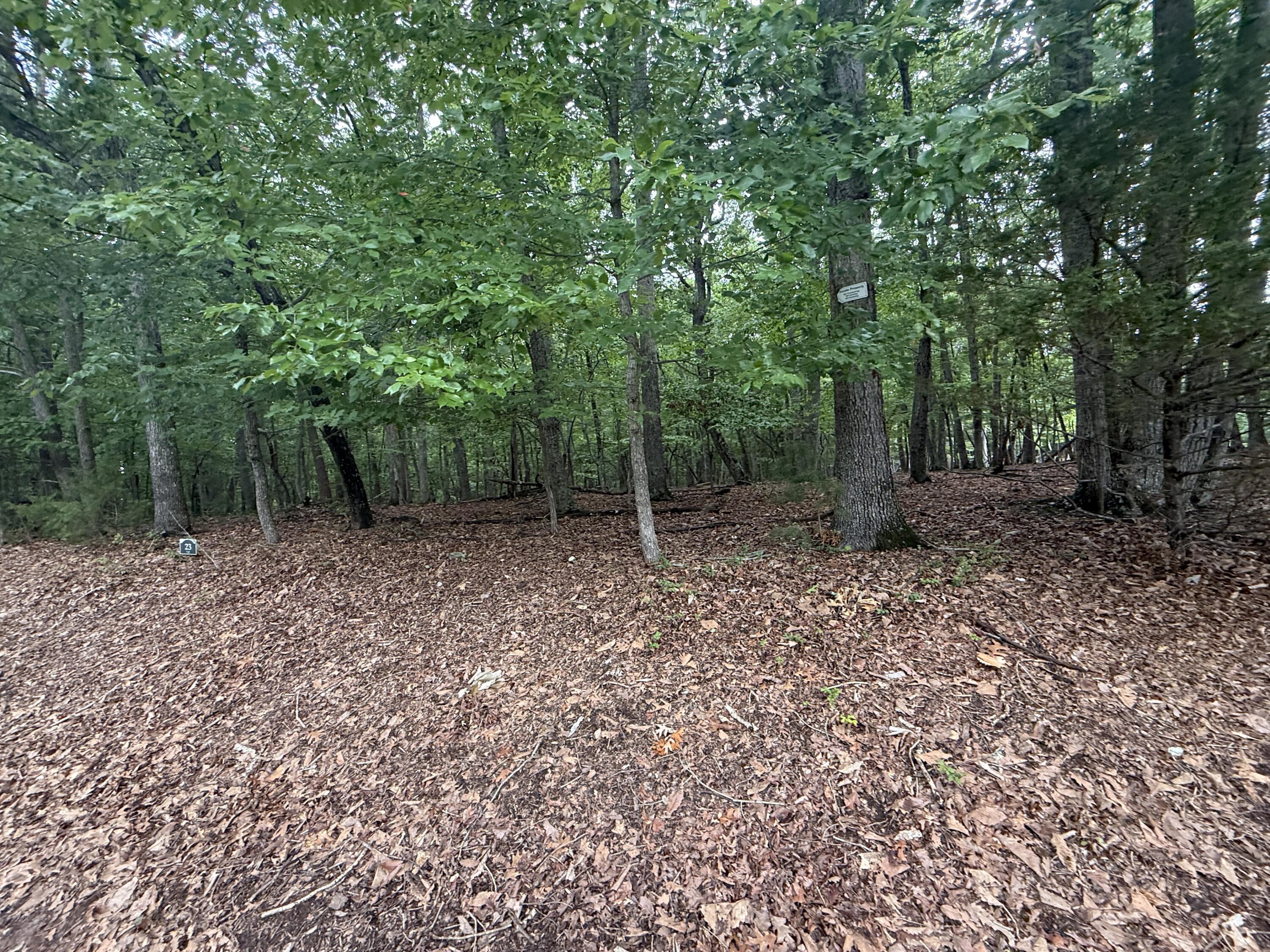 Image 3: IMG_0314
