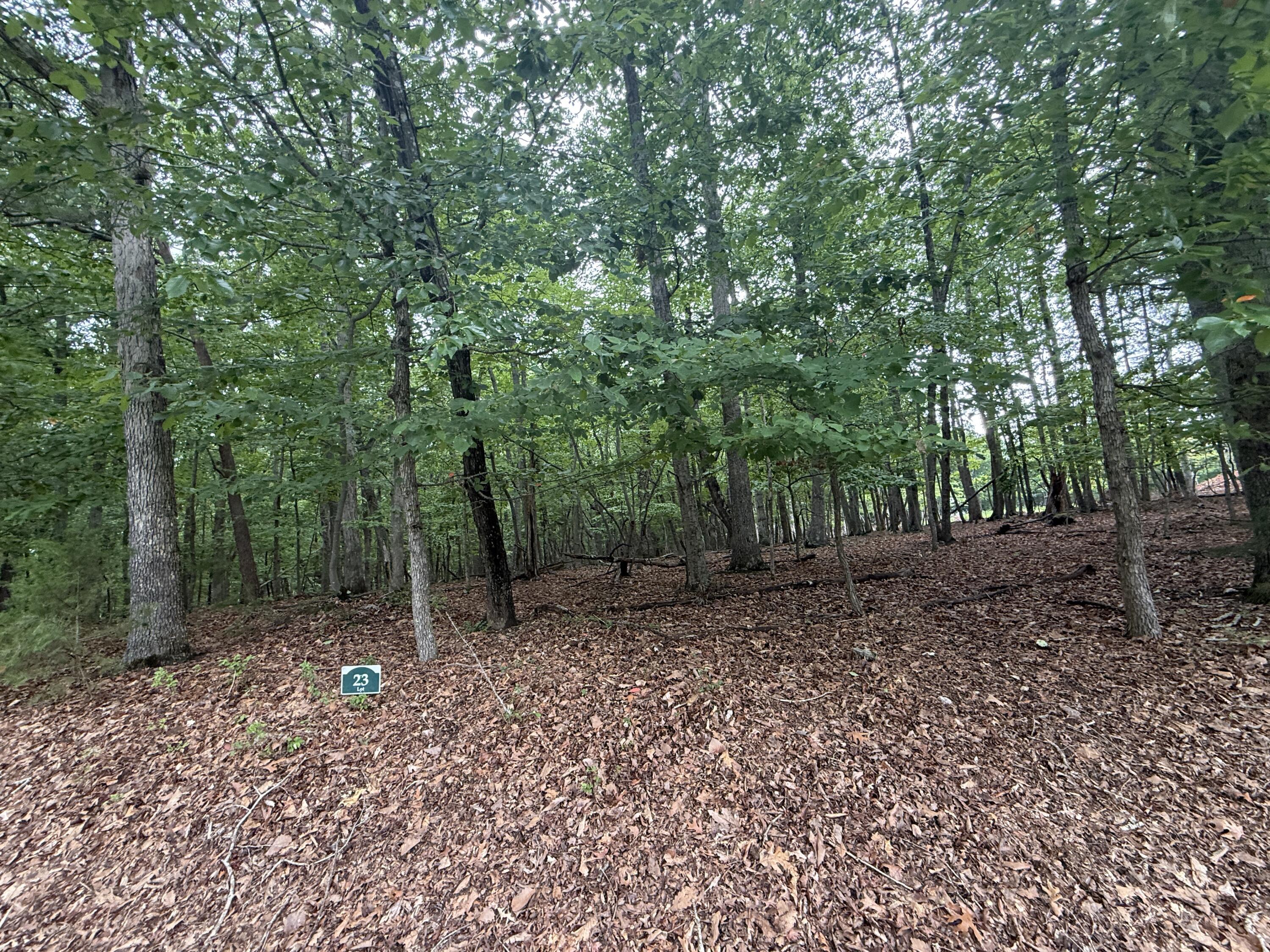 Image 4: IMG_0315