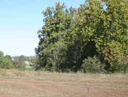 Lot 15 Bermuda DR