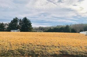 Lot 68 Sunny Field RD