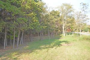 Lot #8 Trading Post RD