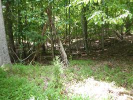 Lot 2 MONTEVISTA RD