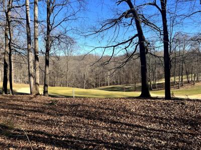 Lot 11 BACK NINE DR