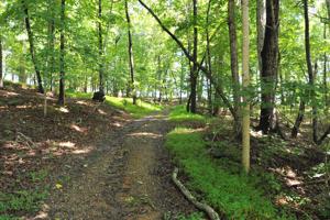 Lot 49 Stripers LN
