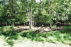 Lot #Well Lot Stripers LN
