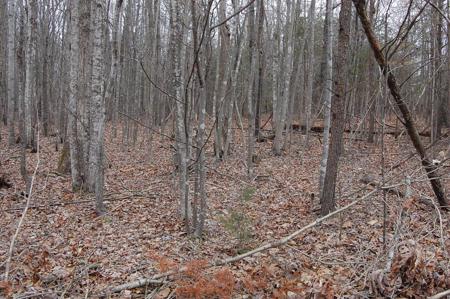Lot 31 Gap Bridge RD