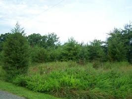 Lot 11 Antler Ridge RD