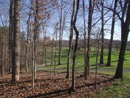 0 Sand Wedge CIR Lot #103
