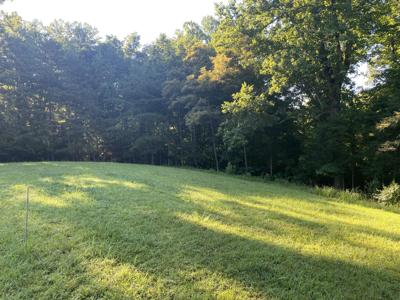 Lot 11 Mountain Cove DR