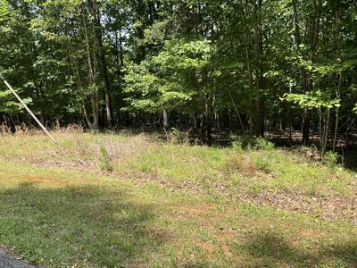 Lot 13 Gap Bridge RD
