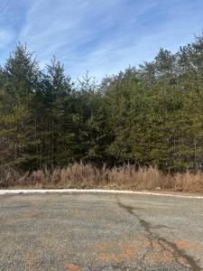 Lot 50 Dillon Cabin RD