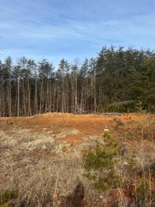 Lot 48 Dillon Cabin RD