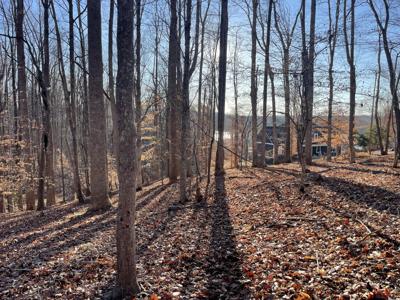Lot 118 Brentwood LN