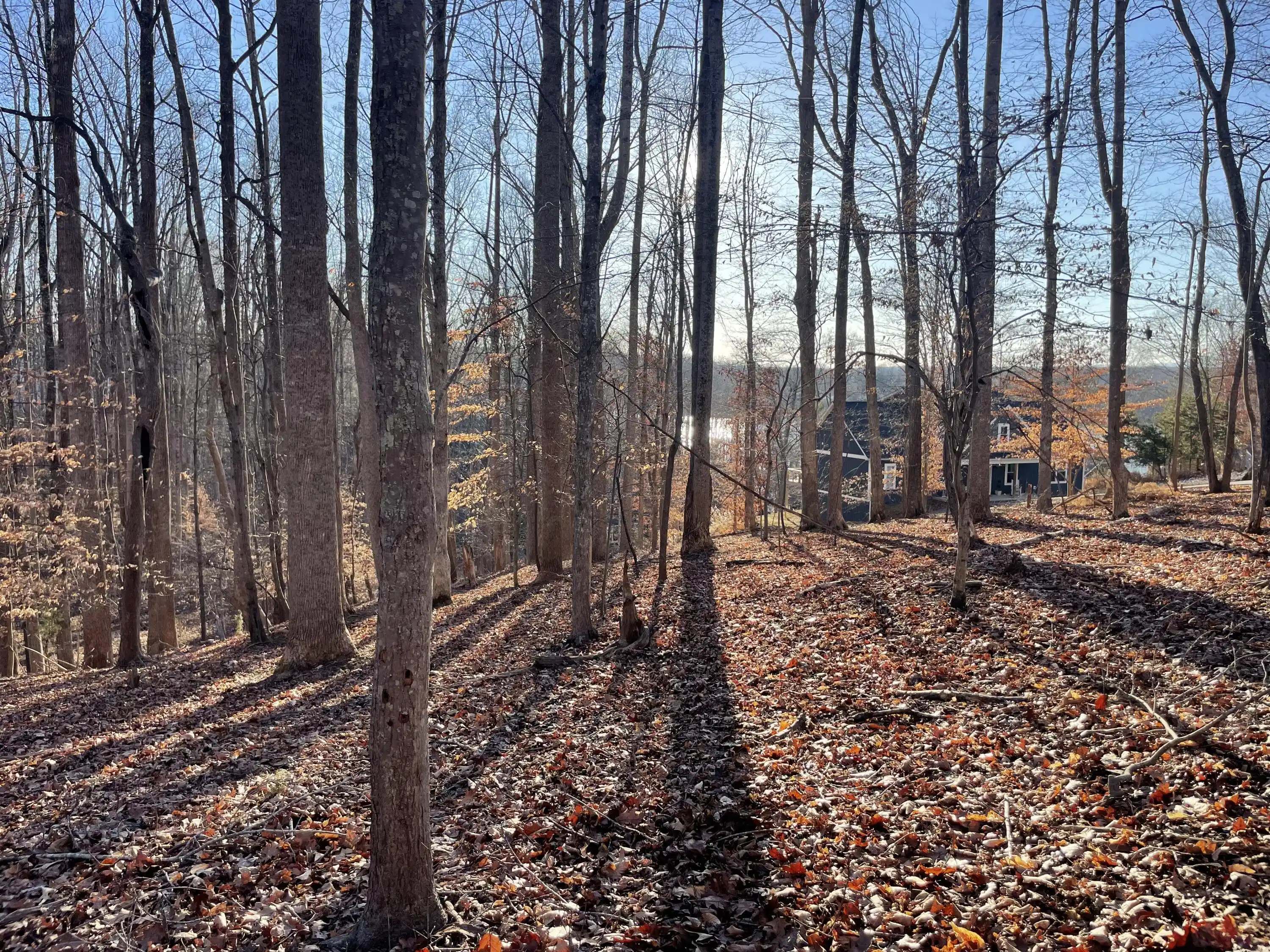 Image 1: Lot 118 Brentwood Dr