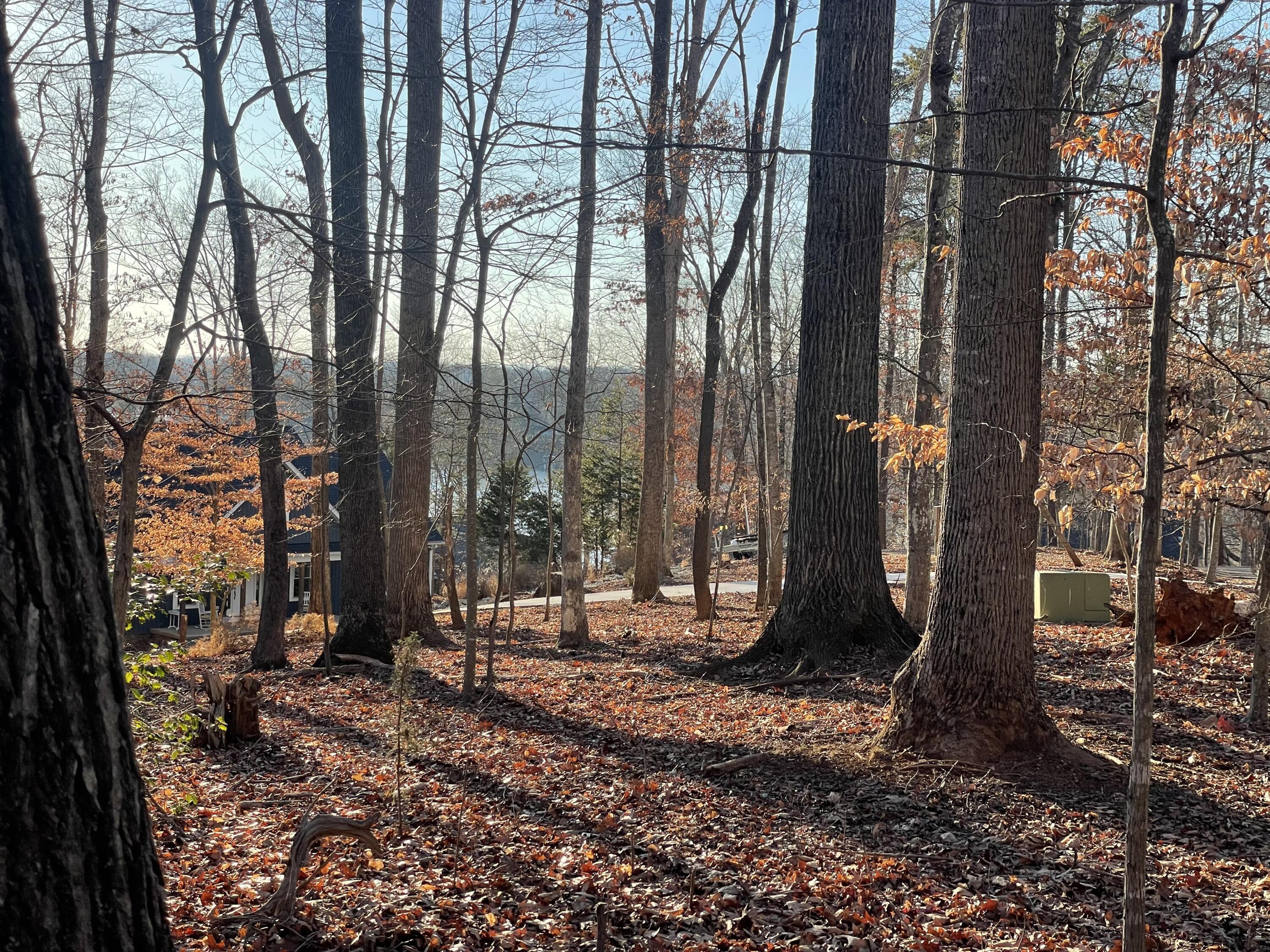 Image 2: Lake View 1