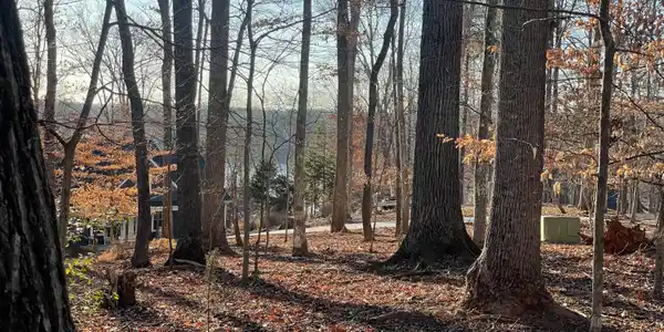 Image 2: Lake View 1